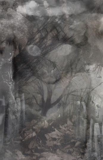 'all cats are grey' artwork by curiosity