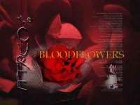 'Bloodflowers' Desktop Theme (c) Nero Graphica