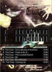 'Head On The Door' Winamp-Skin